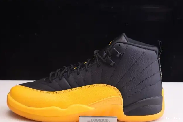 One Kick Black Jordan Retro 12 Gold University Air 130690-070 0701